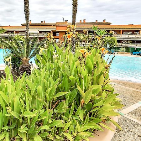 Piscinas Del Teide Διαμέρισμα Πουέρτο Ντε Λα Κρουζ Εξωτερικό φωτογραφία