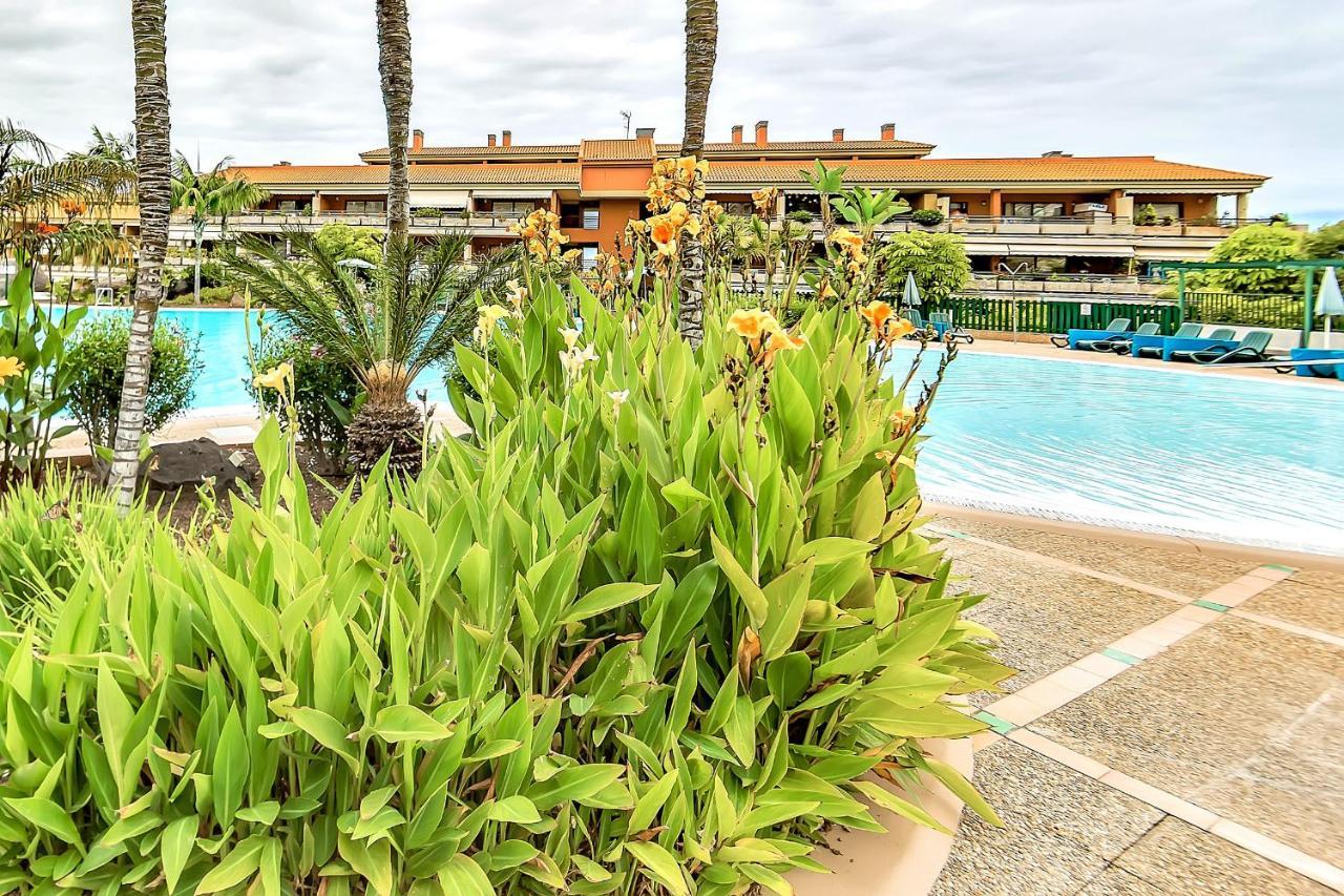 Piscinas Del Teide Διαμέρισμα Πουέρτο Ντε Λα Κρουζ Εξωτερικό φωτογραφία
