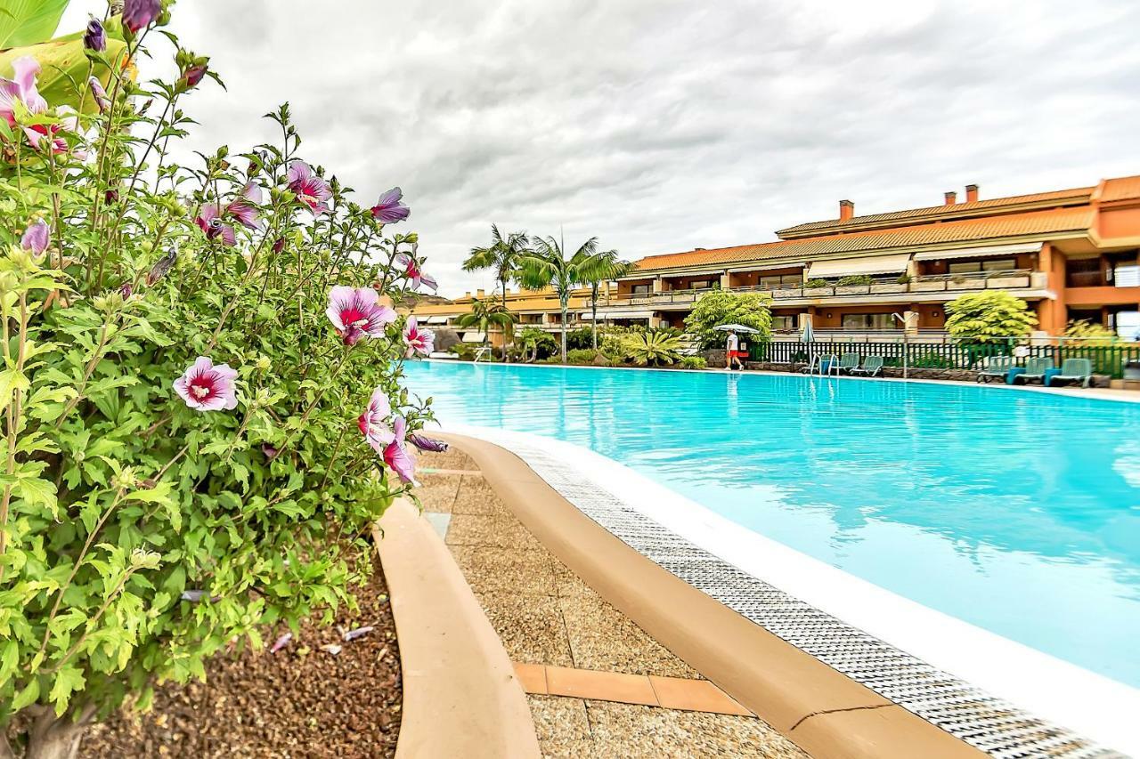 Piscinas Del Teide Διαμέρισμα Πουέρτο Ντε Λα Κρουζ Εξωτερικό φωτογραφία